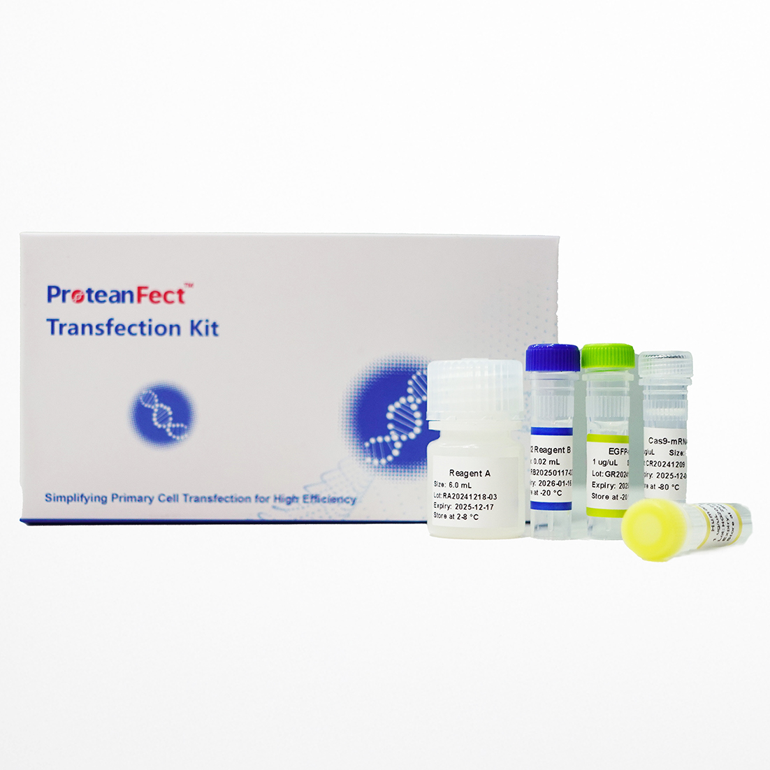 ProteanFect™ CRISPR Gene Editing Transfection Kit