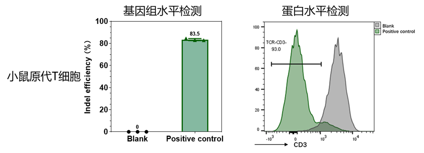 Performance 1