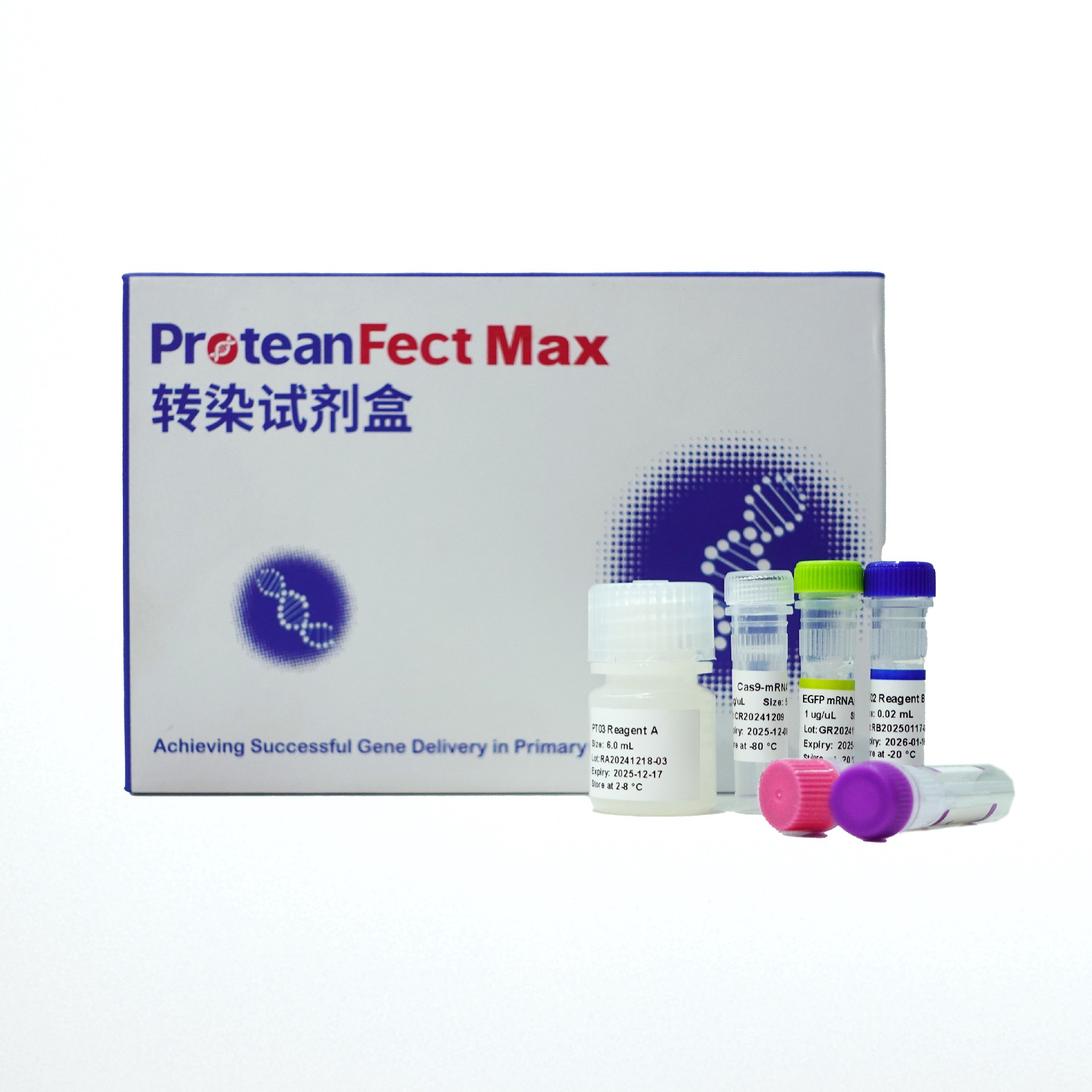ProteanFect™ CRISPRMax 小鼠原代免疫细胞转染试剂盒