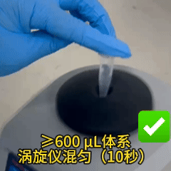 涡旋.gif