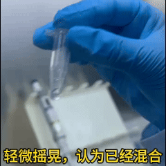 摇晃.gif
