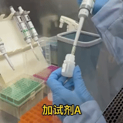 最后一起.gif