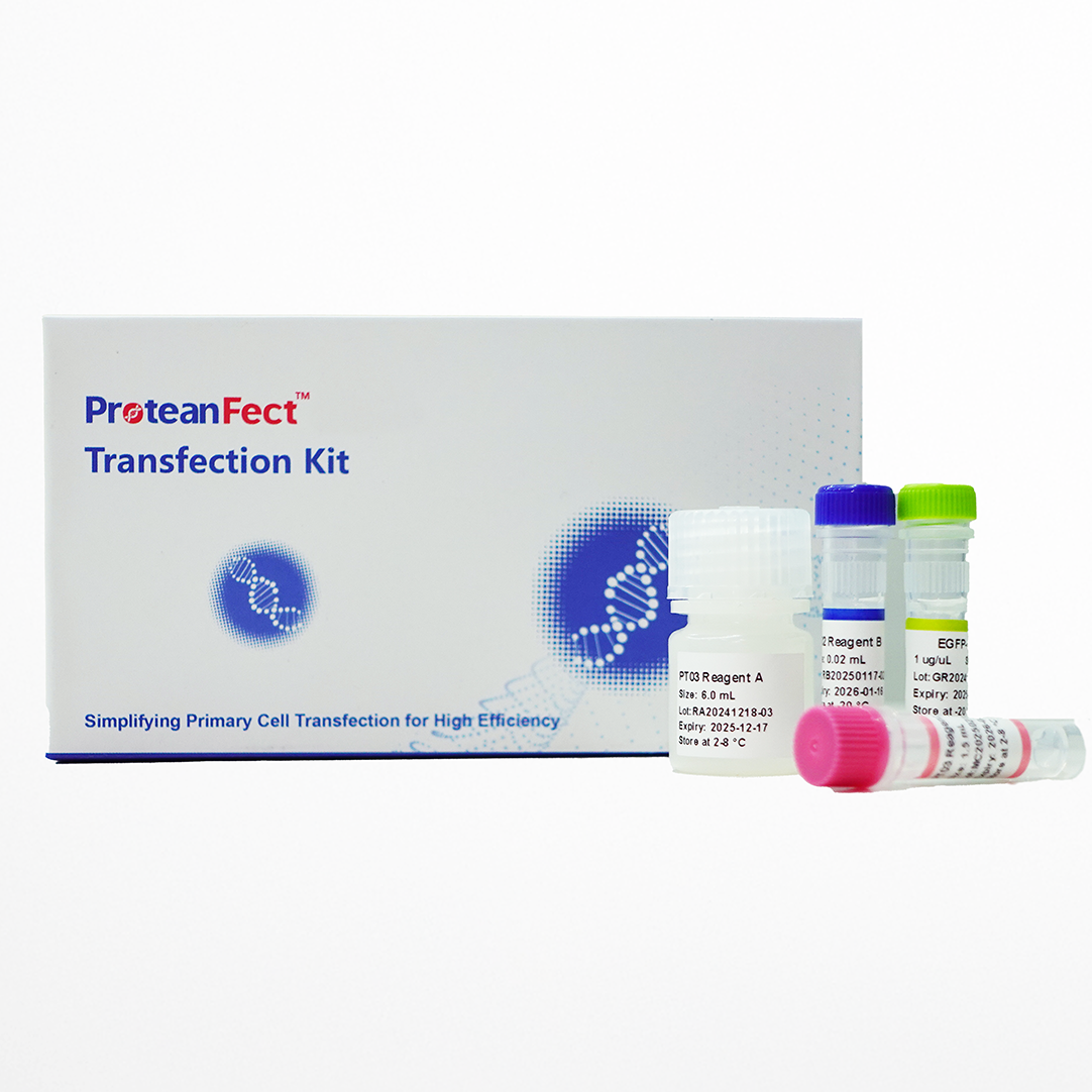 ProteanFect™ Mouse Immunocyte Transfection Kit