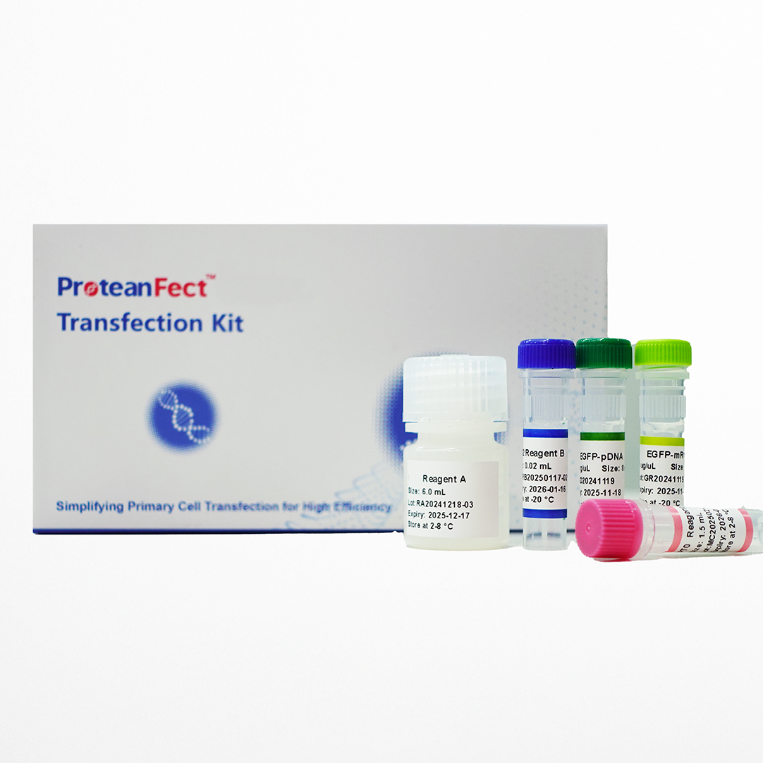 ProteanFect™  Max Transfection Kit