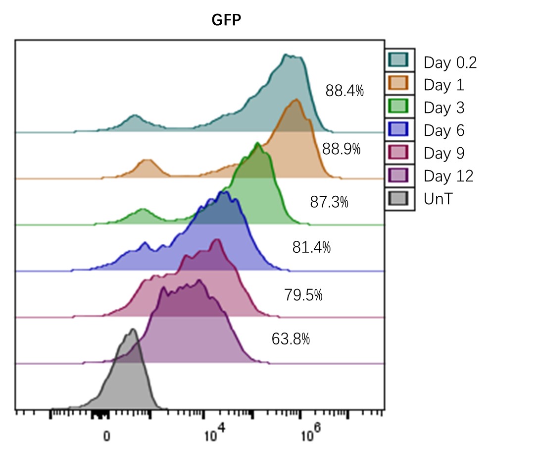 hT-mRNA-2.jpg