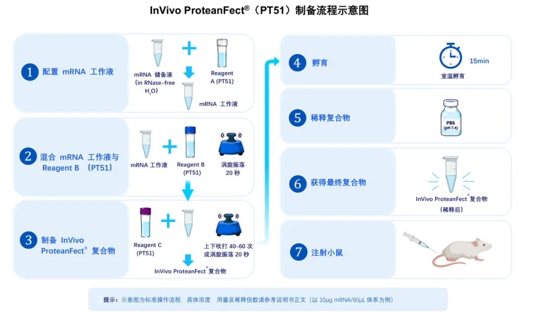 8.webp